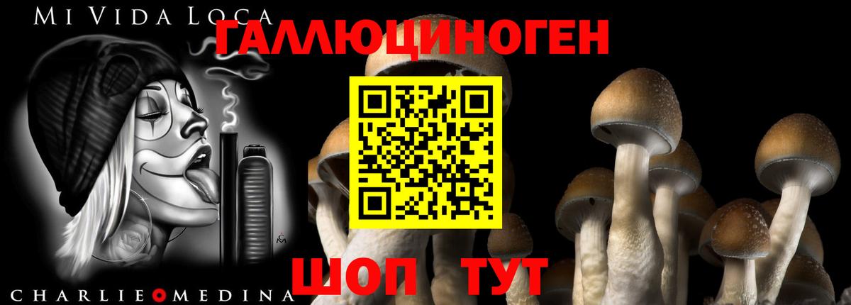 Буйнакск  Псилоцибиновые грибы мухоморы  продажа наркотиков  Вход с VPN 